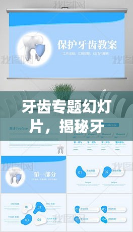 牙齿专题幻灯片，揭秘牙齿奥秘，守护口腔健康之道