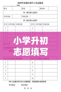小学升初志愿填写规范：小学升初中志愿填报 