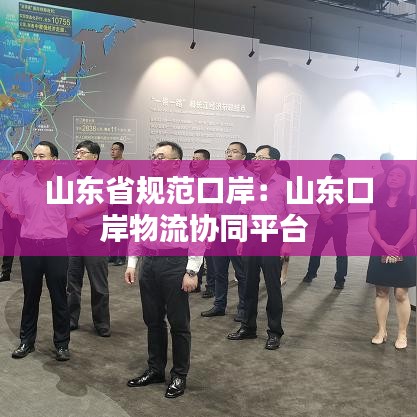 山东省规范口岸：山东口岸物流协同平台 