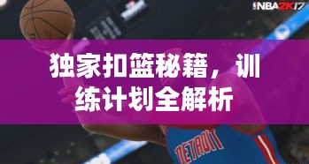 独家扣篮秘籍，训练计划全解析