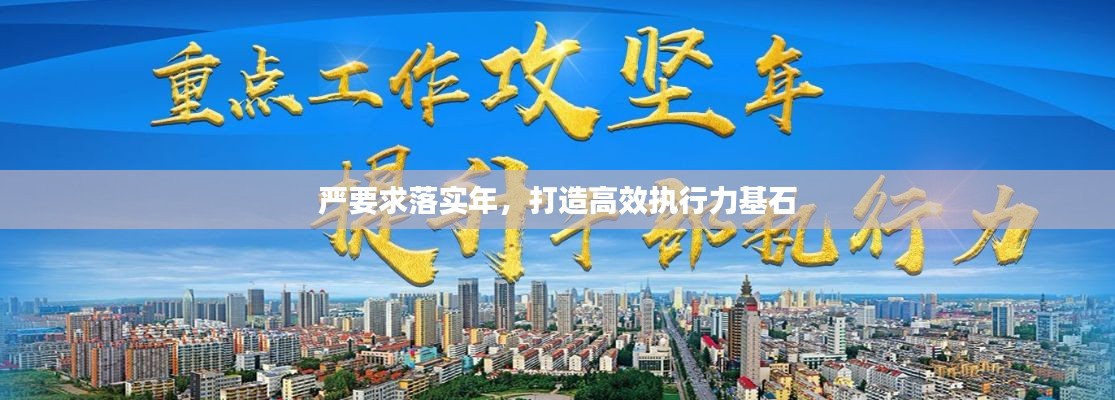 严要求落实年，打造高效执行力基石
