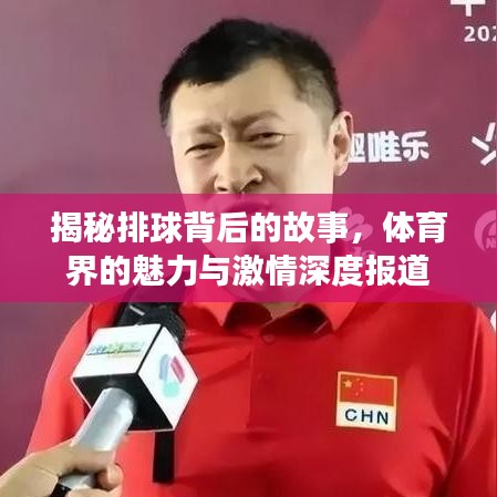 揭秘排球背后的故事，体育界的魅力与激情深度报道