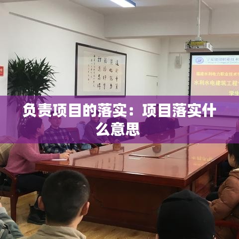 负责项目的落实：项目落实什么意思 