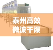 泰州高效微波干燥机参数：微波干燥机对人体伤害大吗 