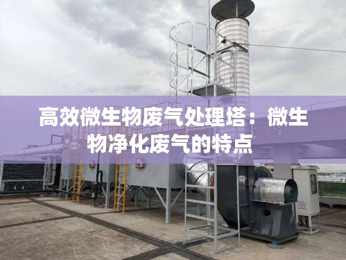高效微生物废气处理塔：微生物净化废气的特点 