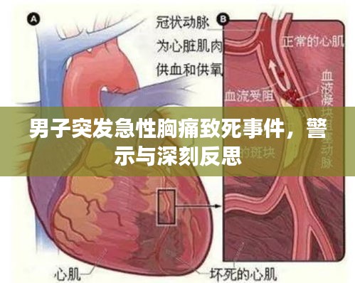 虎视眈眈 第2页