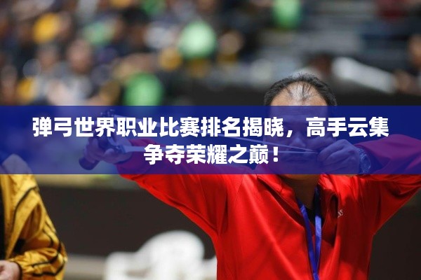 弹弓世界职业比赛排名揭晓，高手云集争夺荣耀之巅！