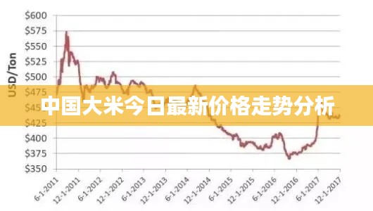 中国大米今日最新价格走势分析