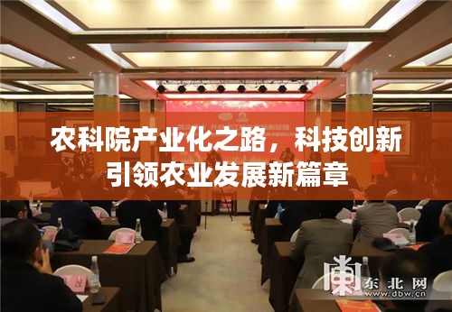 农科院产业化之路，科技创新引领农业发展新篇章