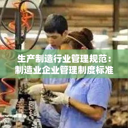 生产制造行业管理规范：制造业企业管理制度标准范本 