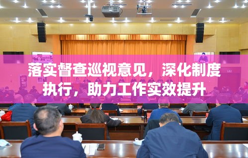 落实督查巡视意见，深化制度执行，助力工作实效提升