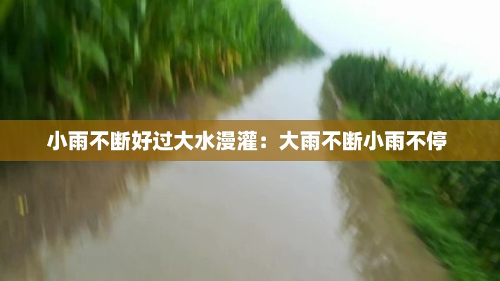 小雨不断好过大水漫灌：大雨不断小雨不停 