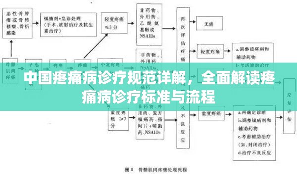 中国疼痛病诊疗规范详解，全面解读疼痛病诊疗标准与流程