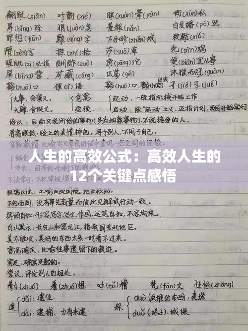人生的高效公式：高效人生的12个关键点感悟 