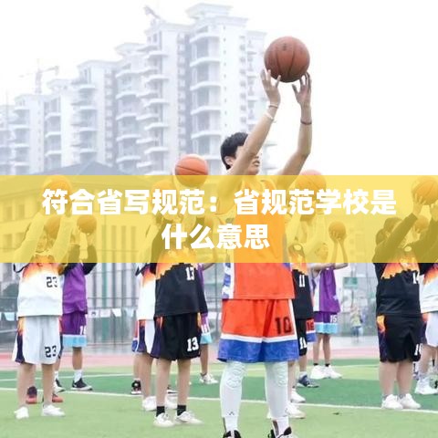 符合省写规范：省规范学校是什么意思 