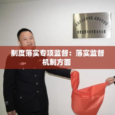 制度落实专项监督：落实监督机制方面 