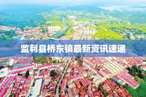 监利县桥东镇最新资讯速递