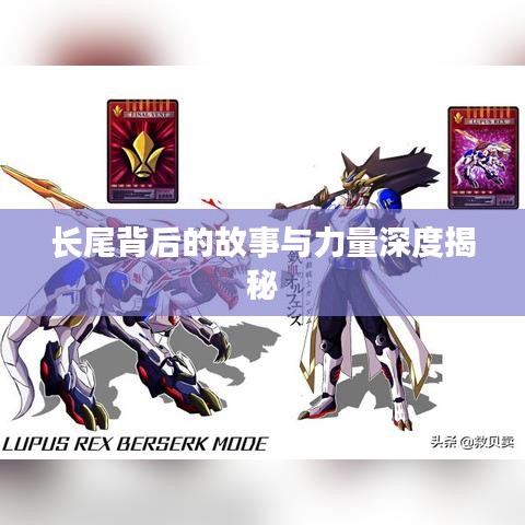 长尾背后的故事与力量深度揭秘