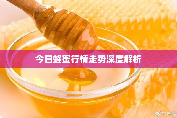今日蜂蜜行情走势深度解析