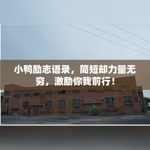 小鸭励志语录，简短却力量无穷，激励你我前行！