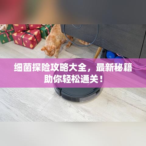 寥若晨星 第2页
