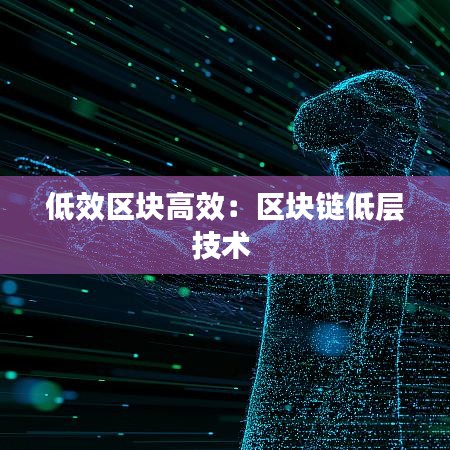 低效区块高效：区块链低层技术 