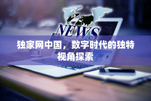 独家网中国，数字时代的独特视角探索