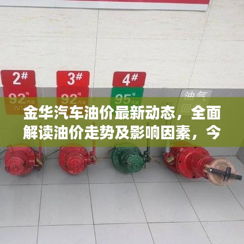 金华汽车油价最新动态，全面解读油价走势及影响因素，今日油价表更新！