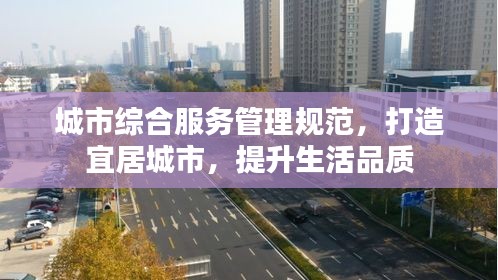 城市综合服务管理规范，打造宜居城市，提升生活品质