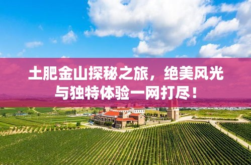 土肥金山探秘之旅，绝美风光与独特体验一网打尽！