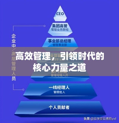 高效管理，引领时代的核心力量之道