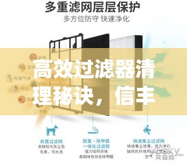 越鸟南栖 第2页