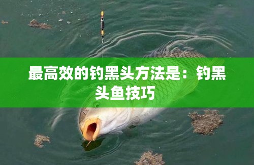 最高效的钓黑头方法是：钓黑头鱼技巧 