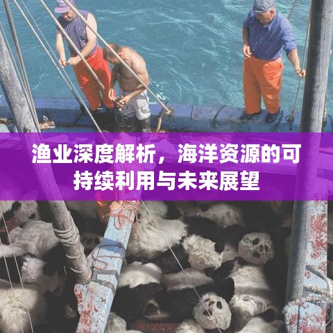 渔业深度解析，海洋资源的可持续利用与未来展望