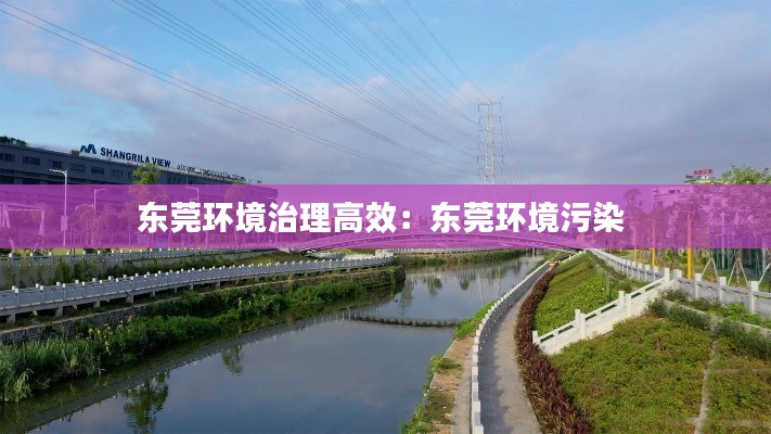 东莞环境治理高效：东莞环境污染 
