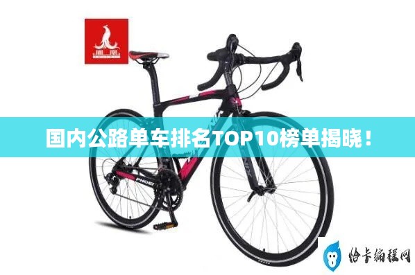 国内公路单车排名TOP10榜单揭晓！