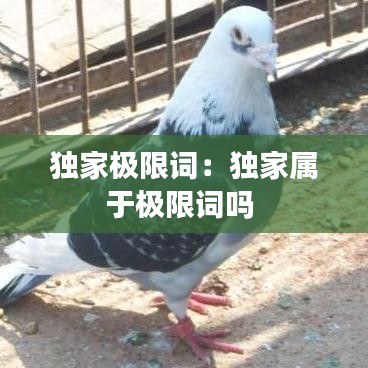 独家极限词：独家属于极限词吗 