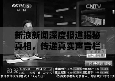 新浪新闻深度报道揭秘真相，传递真实声音栏目独家呈现