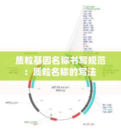质粒基因名称书写规范：质粒名称的写法 