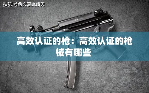 高效认证的枪：高效认证的枪械有哪些 