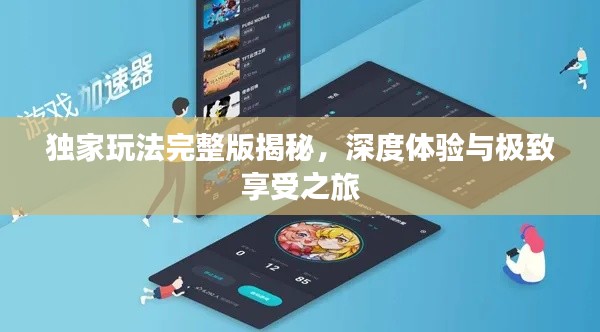 独家玩法完整版揭秘，深度体验与极致享受之旅
