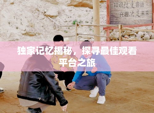 独家记忆揭秘，探寻最佳观看平台之旅