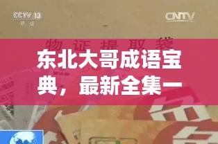 东北大哥成语宝典，最新全集一网打尽！