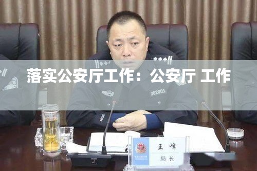 落实公安厅工作：公安厅 工作 