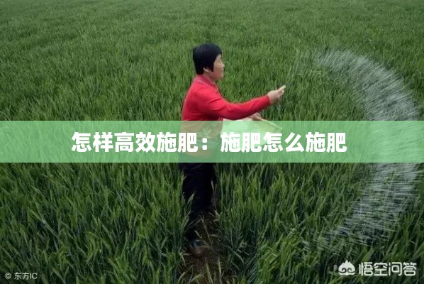 怎样高效施肥：施肥怎么施肥 