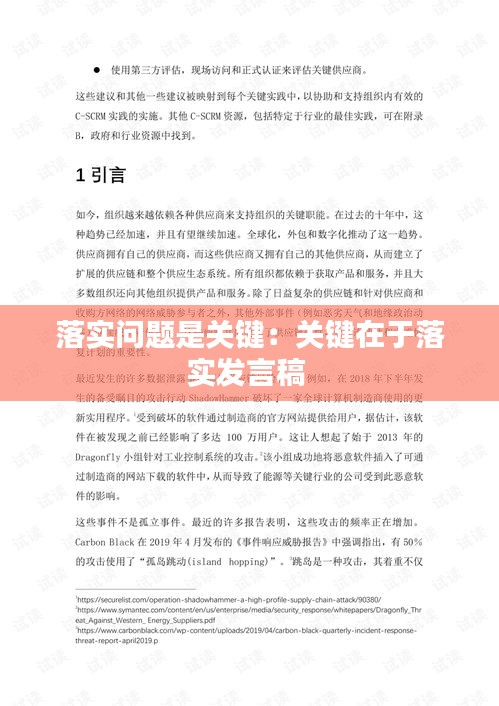 落实问题是关键：关键在于落实发言稿 