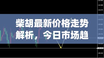 柴胡最新价格走势解析，今日市场趋势分析