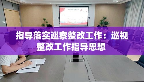 指导落实巡察整改工作：巡视整改工作指导思想 