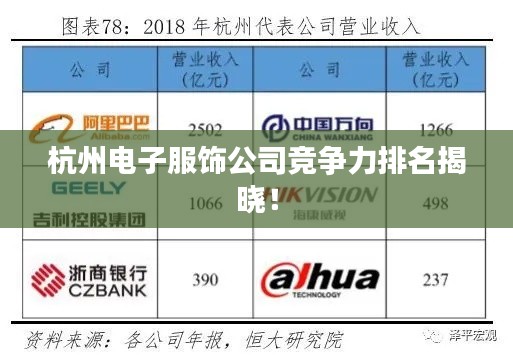 杭州电子服饰公司竞争力排名揭晓！