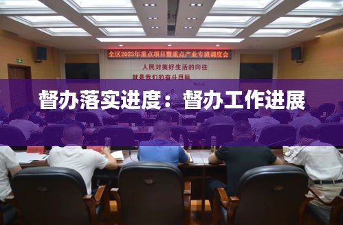 督办落实进度：督办工作进展 